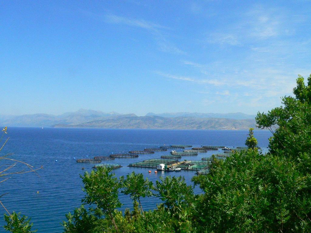 Hotel Bay 3*